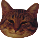 /autonomic-cooperative/hometown/raw/commit/a4be95e48fa66142787494ccd5e52fde61b0a80c/spec/fixtures/files/emojo.png